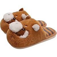 Dianzan Cotton Slippers for Women, Novelty Animal Plush Slippers Plush Raccoon Household Slippers Unisex Anti Slip Closed Toe Slippers