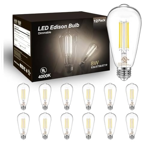 DAYBETTER Vintage LED Edison Bulbs Cover