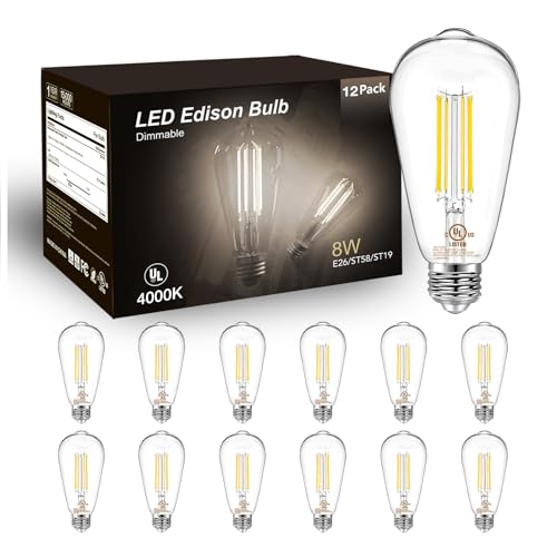 DAYBETTER 12 Pack Vintage LED Edison Bulbs, E26 Led Bulb 60W Equi...