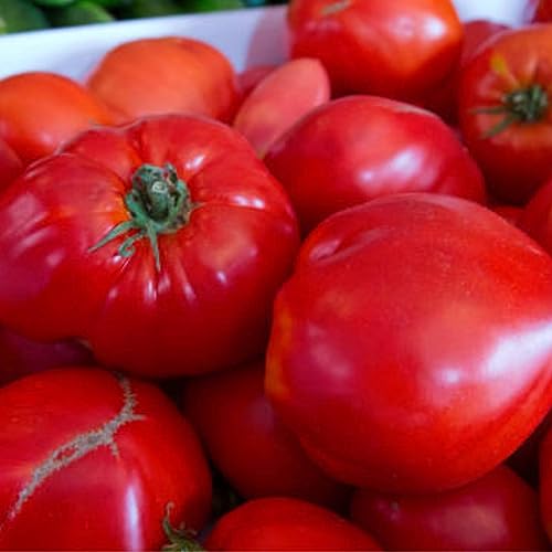 Sementes de Tomate Coração de Boi FELTRIN
