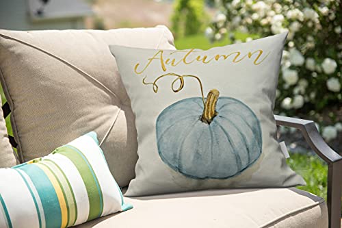 Taysta Pillowcases Decorative Autumn Fall Blue Gray Cinderella Pumpkin Watercolor Throw Pillow Covers Case Cases Cover Cushion Sofa Size 16X16 Inches Two Side #TOP3