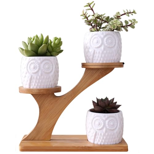 Support de plante de bureau anti-taches pour petits pots fleurs de table