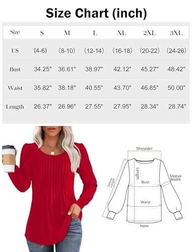 Long Sleeve Shirts for Women Fall Tops Dressy Casual Blouses Pleated Scooped Neck Tunic Tops for Leggings2