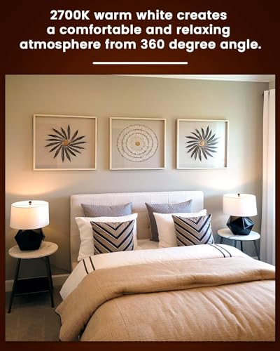 Bonlux 6W A60 E27 LED Light Bulbs AC/DC 12-24V Non-Dimmable Edison Screw LED Filament Bulb Warm White 2700K Vintage Bulb 360 Degree for RV Camper Marine Yacht Lorry (2-Pack)