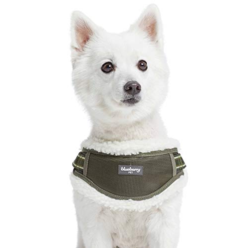 Blueberry Pet 2021 New Soft & Comfy Multi-Colored Stripe Fleece Padded Chest Dog Harness, Chest Girth 16.5