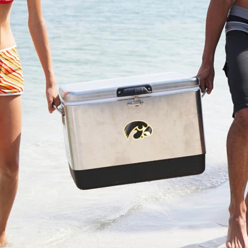 Image of University of Iowa Haweyes Tigerhawk Black and Gold Weatherproof Vinyl Sticker Car Decal from Nudge Printing
