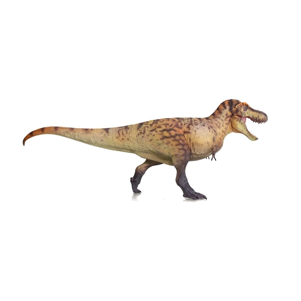 XINPANYIAN HAOLONGGOOD Tyrannosaurus Rex Dinosaur Model with Movable Jaw, Prehistoric Animal Figure (Color A)