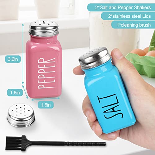 2 Pack Salt and Pepper Shakers Set, Glass Salt Shaker with Stainless Steel Lid, Modern and Cute Farmhouse Salt and Pepper Set (Pink and Blue)