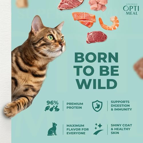 Image of Optimeal Grain-Free Wet Cat Food Pouches - Beef & Rabbit in Savory Gravy, High Protein & Moisture-Rich Tender Morsels, Indoor Adult Cat Food Wet with Natural European Ingredients, 3 oz (Pack of 12)