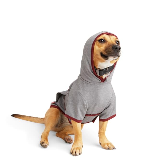 Reddy Soothing Dog Hoodie, Medium