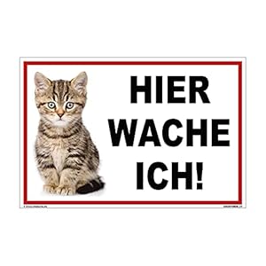 kleberio® Katzenschild Kunststoff – Hier wache ich! – 30 x 20 cm Warnschild Katze Vorsicht Katze Gartendeko Katze Warnung Schild für Briefkasten Gartenschilder Katzen Verkehrsschild Katze