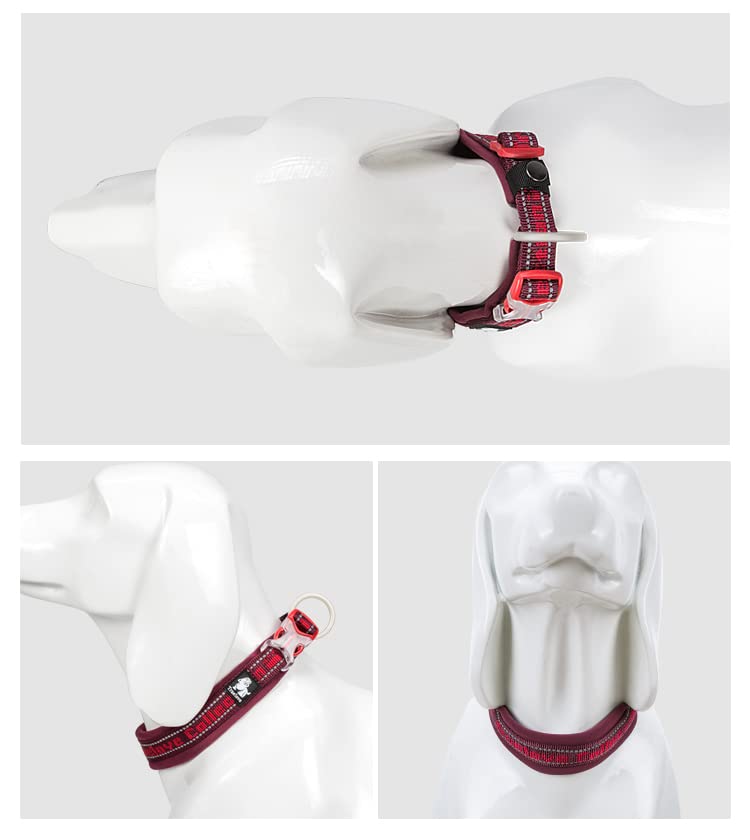 WINHYEPET True Love Reflective Dog Collar - Image 4