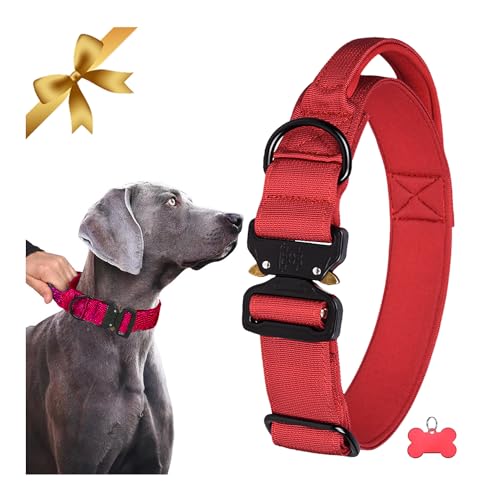 Collare Tattico per Cani di Grandi Dimensioni con Maniglia, Collare per Cani Regolabile con Fibbia Metallica a Sgancio Rapido per Uso Intensivo, Collare per Cani in Nylon Forte, Neoprene Imbottito, XL