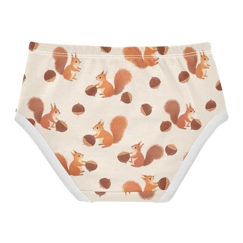Squirrel Chestnut Toddler Girls's Underwear 2T 23006572
