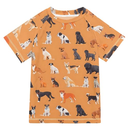 ALAZA Kids Rash Guard Boys Toddler Swim Shirts Short Sleeve Cute Dogs Orange UPF 50+ 3T
