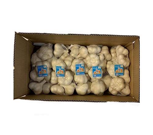 にんにく 青森県産 ホワイト六片にんにく 訳ありにんにく2Lサイズ5kg 国産にんにく