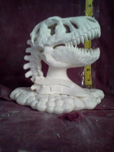 Nowells T Rex Skull w Base
