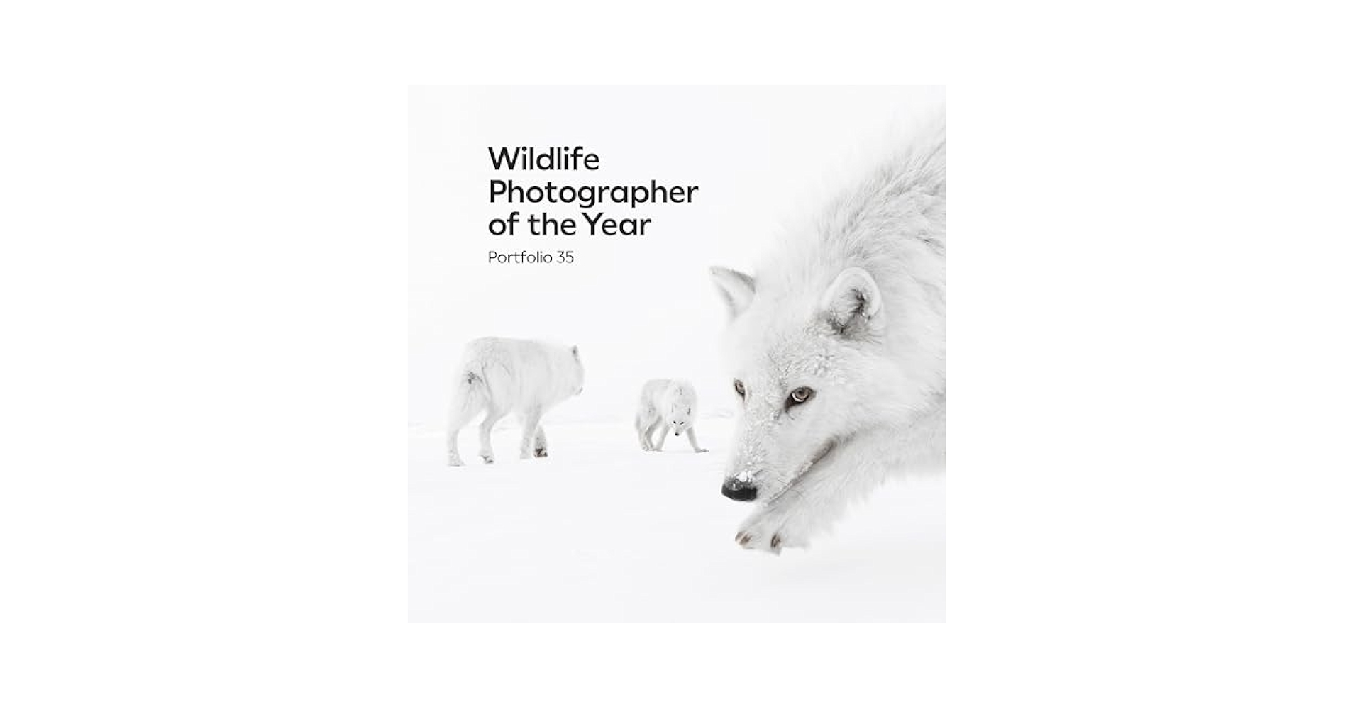 写真集 Wildlife Photographer of the Year 6冊 15 enchanting images from the Wildlife Photographer of the