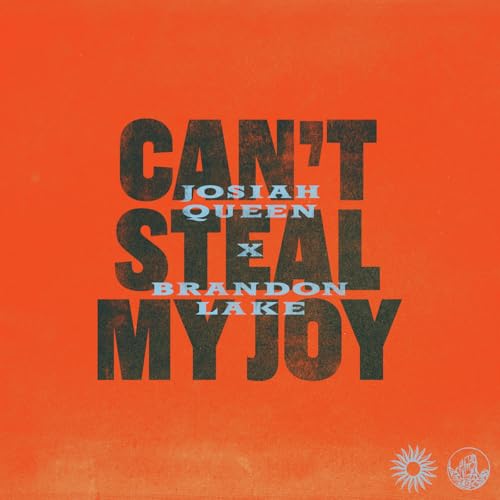 Can't Steal My Joy album image