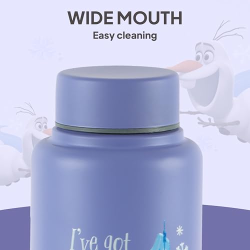 Image of CELLO Kidzbee Vortex Single Wall Steel Water Bottle For Kids 700 ml | 3D Touch & Feel Elsa Design, Fridge Safe Spill Proof & Leak Proof Stainless Steel Water Bottle For School Kids, Travel & Picnic