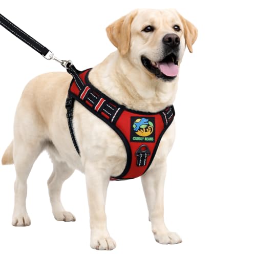 Image of Adjustable Padded Dog Harness with Leash, Red, L (25-35 kg)