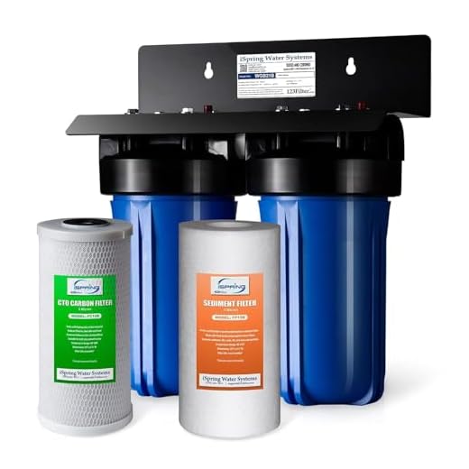 iSpring WGB21B Whole House Filtration System