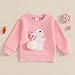 Dcohmch Toddler Girl Boy Easter outfit Bunny Embroidered Shirt Sweatshirt Long Sleeve Pullovers Baby Spring Clothes (Pink, 2-3 Years)