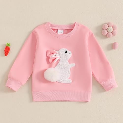 Dcohmch Toddler Girl Boy Easter Outfit Bunny Embroidered Shirt Sweatshirt Long Sleeve Pullovers Baby Spring Clothes3