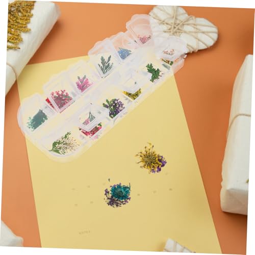 Flores secas para manualidades en resina, pack de 3 miniatura 7