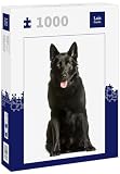 Lais Puzzle Berger Allemand Noir 1000 pièces