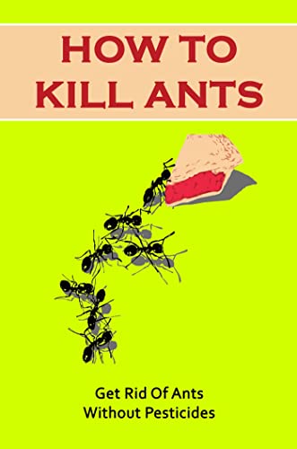 How To Kill Ants: Get Rid Of Ants Without Pesticides