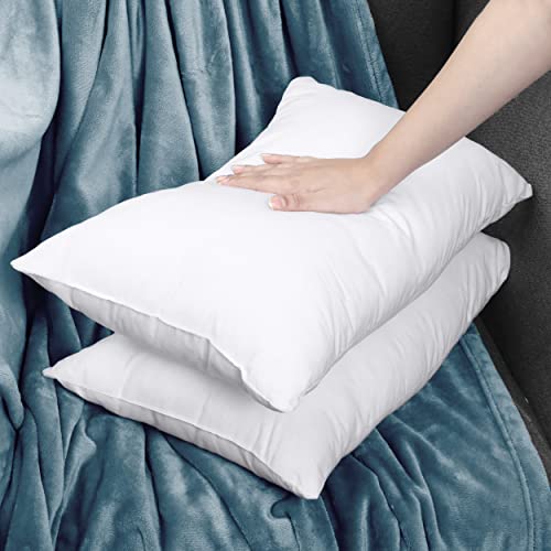 Utopia Bedding Throw Pillows Insert (Pack Of 2, White) - 20 X 26 Inches Bed And Couch Pillows - Indoor Decorative Pillows #TOP2