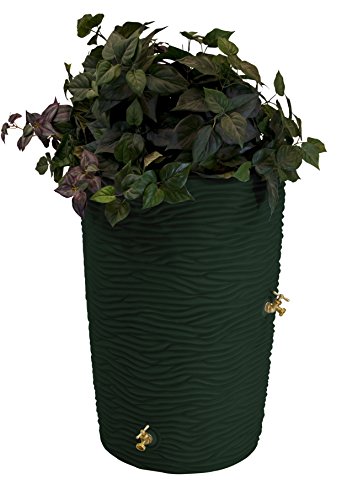 Good Ideas Imp-L50-GRN Impressions Palm Rain Barrel, 50 Gallon, Green