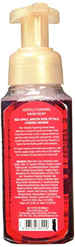 Set Of 2 Bath And Body Works Winter Candy Apple Foaming Hand Soaps #TOP1