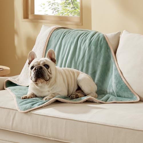 Image of Bedsure Waterproof Dog Blankets for Medium Dogs - Medium Cat Blanket Washable for Couch Protection, Sherpa Fleece Puppy Blanket, Soft Plush Reversible Throw Furniture Protector, 30 inchX40 inch, Light Green