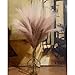 Qubitful Faux Pampas Grass, 9 PCS 37''/3.1FT Tall Fluffy Fake Pompas Floral, Large Artificial Pompous Grass Branches for Floor Vase Fillers, Boho Farmhouse Room Wedding Decor (Mixed Color)