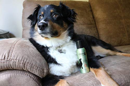 Pawfume Premium Grooming Spray (Show Dog)