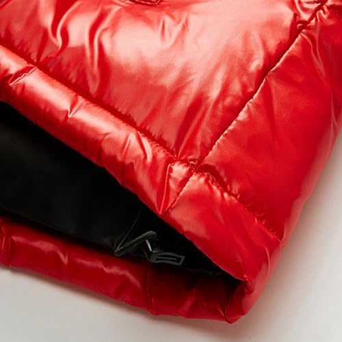 JEsilunmaMY Men's Thermal Shiny Hooded Puffer Jacket Winter Coats Water-Resistant Down Coats Insulated Padded Puffy Coat