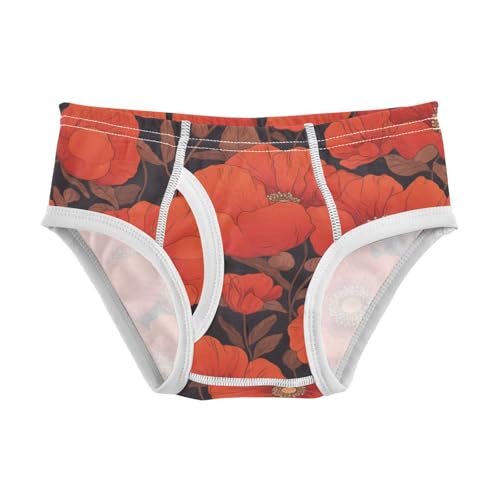 KLL Vibrant Floral Pattern Poppy Toddler Boy Pure Cotton Underwear Briefs Cute Children Undies