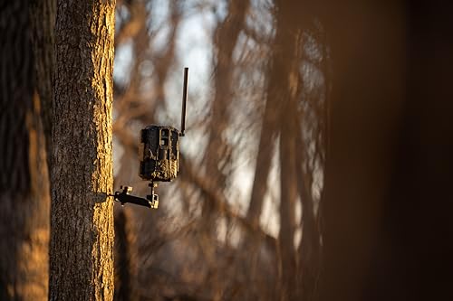 Image of Stealth Cam Spectre 4K Dual-Core Cellular Trail Camera - 40MP - 4K Video - 80Ft Detection