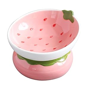 Ceramic Raised Cat Bowl, Pink Elevated Cat Food Bowl for Indoor Cats, Anti Vomiting & Protect Pet’s Spine, Cute Tilted Cat Dish for Flat Faced Cats and Kitten (Strawberry Shaped)