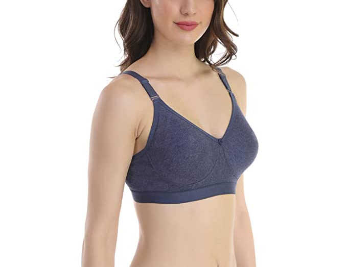 Image of SKDREAMS Blue & Brown & Purple-32D Cotton Blend Seamless Non Padded Non-Wired Full Coverage Pack of 3 Women T-Shirt Bra Combo