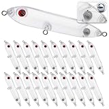 DEILAI 20pcs Fishing Blanks Unpainted Lures Kit Crankbait Floating Topwater Fishing Lures Blank Hard Baits Lures Set DIY with 3D Eyes for Salmon Walleye Trout Bass Saltwater and Freshwater