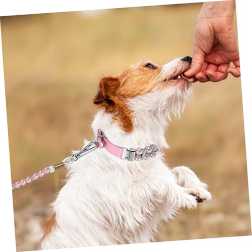 Laisse pour chien de course et collier en perles pour chat