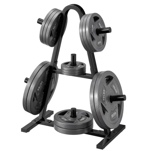 Compact Plate and Barbell Storage