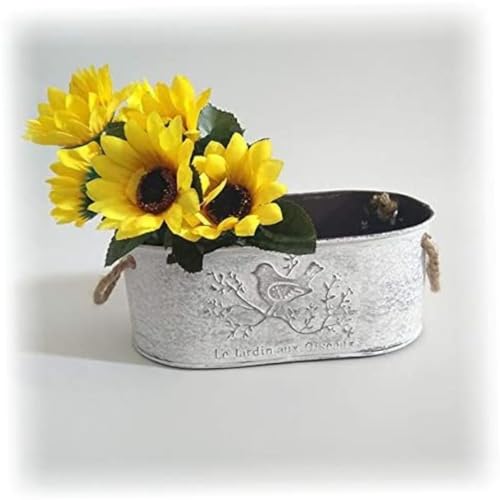 Pots de jar déco avec des poignées pot de fleur vintage - 7
