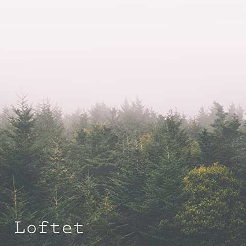 Loftet