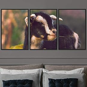 signwin 3 Piece Framed Canvas Wall Art Fun...