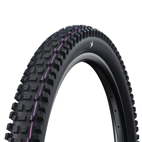 Schwalbe Albert Radial MTB Tire