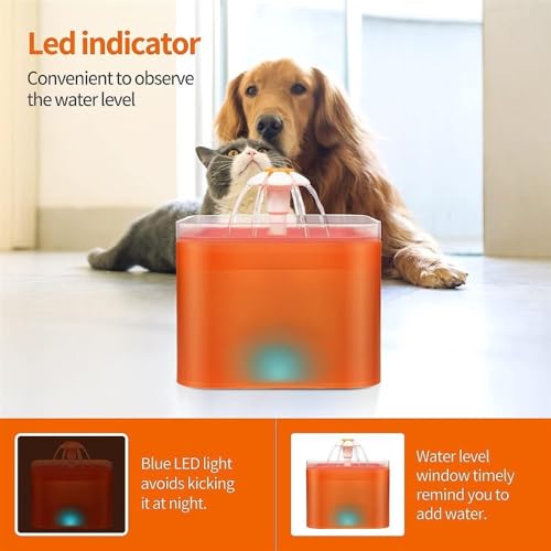 Fuente de Agua Automática para Gatos 2L REAGAR miniatura 4